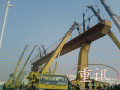 山东32吨32米L型龙门吊 (1)
